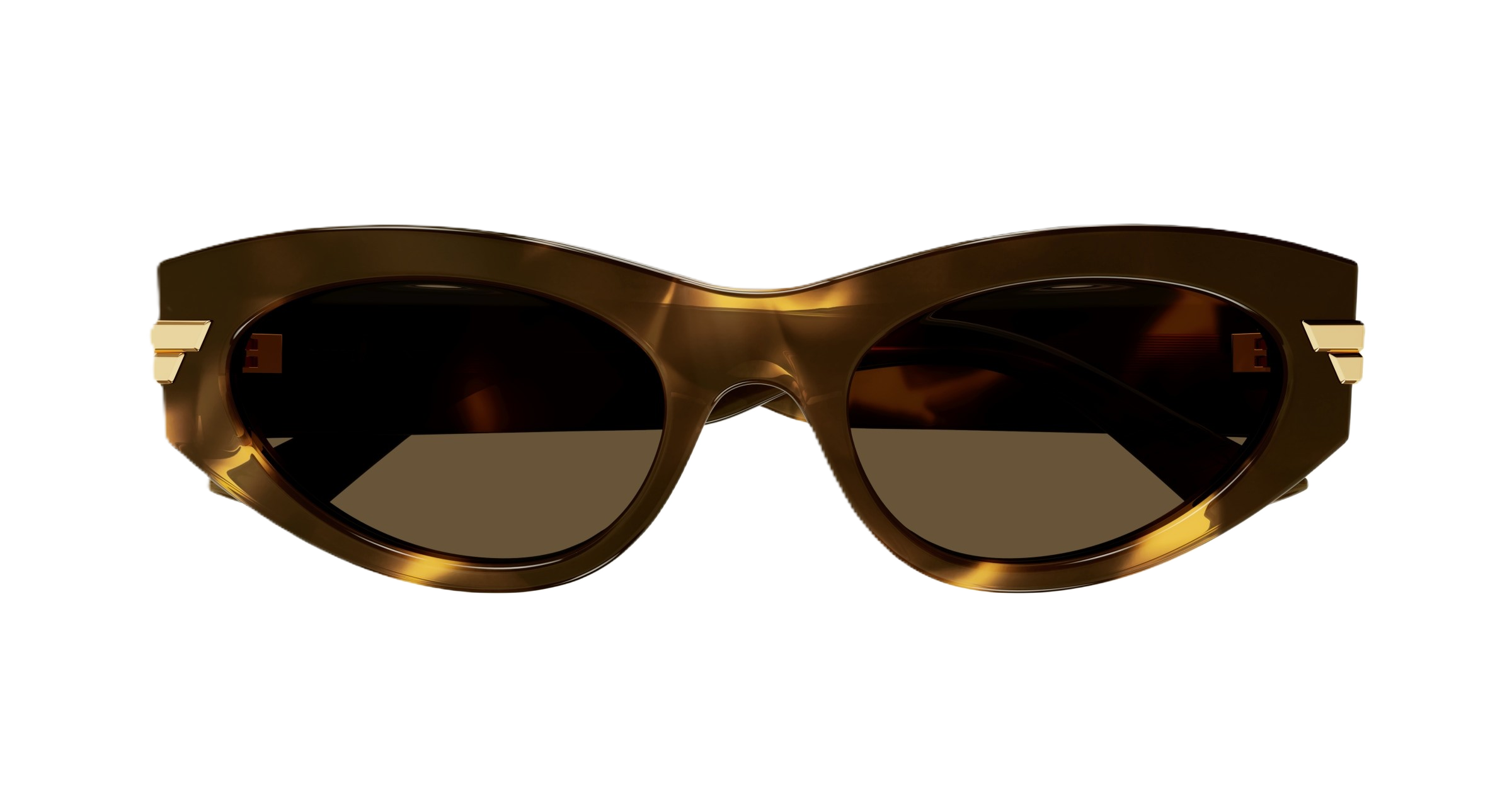 Bottega Veneta BV1189S
