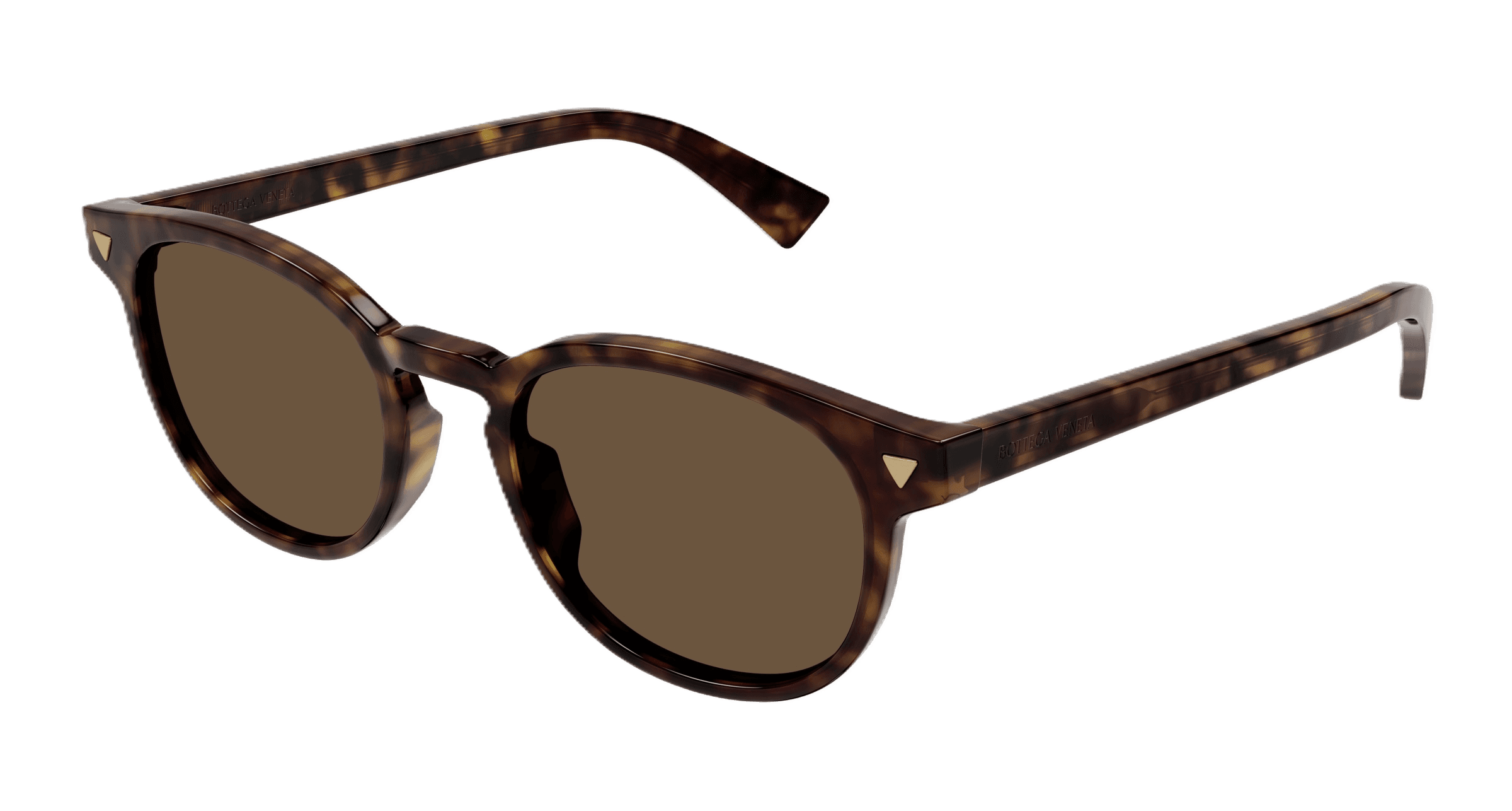 Bottega Veneta BV1253S — vue alternative